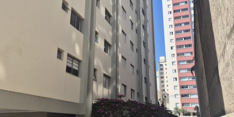 20250708_114619 - Copia