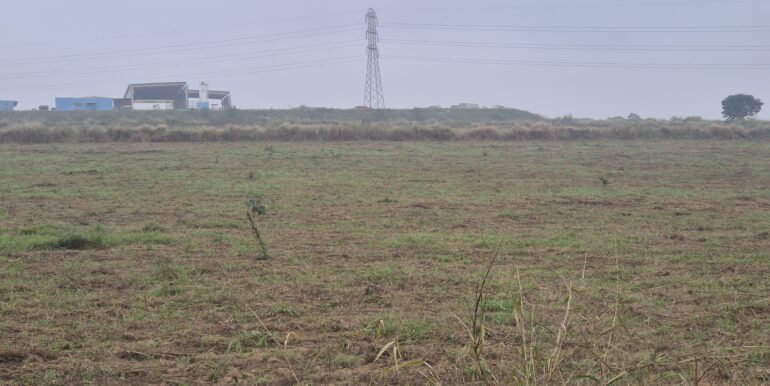20260601_091412