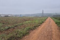 ARV 0006 – Sítio Para Venda – Cidade de Elias Fausto/SP